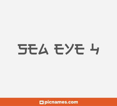 Sea Eye 4